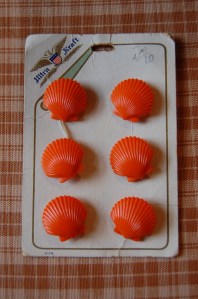 Shell buttons - photo