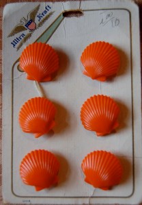 Shell buttons close-up