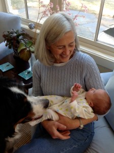 Little Aida in my arms, with Porter, the Bernese Mountain dog, looking on. Such blessings!