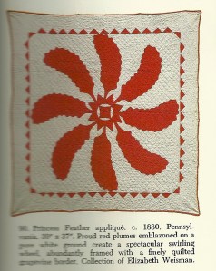 Here is one example of a vintage Princess Reather baby quilt, Reproduced from Crib Quyilts anbd Other Small Wonders, by Thos. K. Woodard and Blanche Greenstein, E. P. Dutton, New York, New York, 1981.