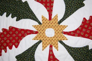 I was not very conscientious about taking pictures of the quilt in progress, so most of these details are of the finished quilt!