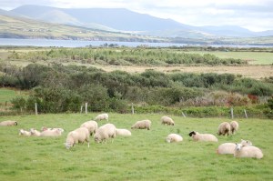 Ireland