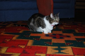 Did someone say sewing? I prefer taking it easy!