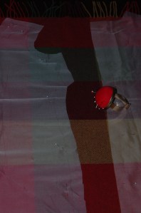 Here are the silk organza pattern pieces arranged on the fashion fabric.