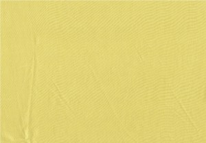 Not sure the real color of this silk comes through here, but it's close!