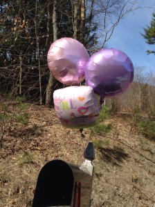 The snow is gone, and even the mailbox, battered by the snow plows, looks happy.