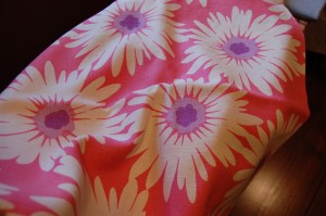 Big, bright daisies with lavender centers.