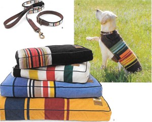 And don't forget to pamper your pet with the same Western style!